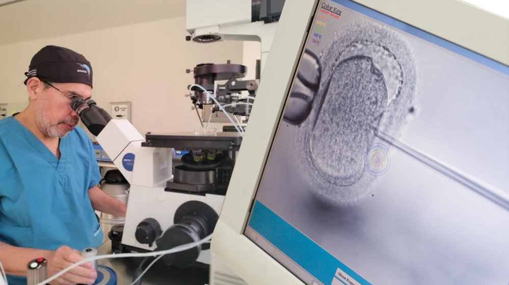 ICSI - Inyección Intracitoplasmática